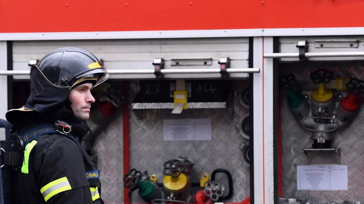 Фото: РИА Новости