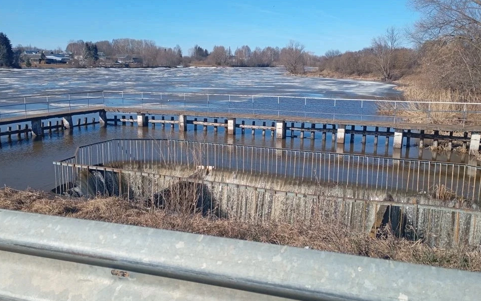 Фото: Минприроды Марий Эл