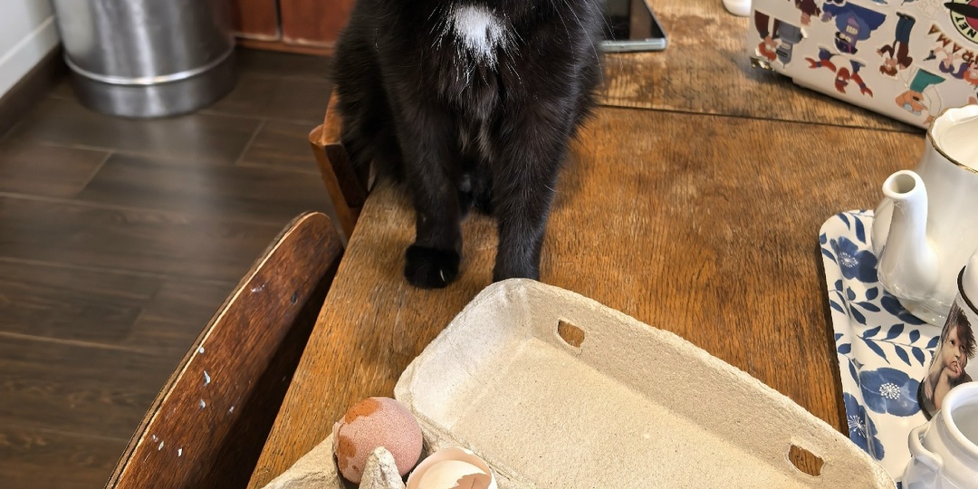 Опять пеку кулич. Понравилось)