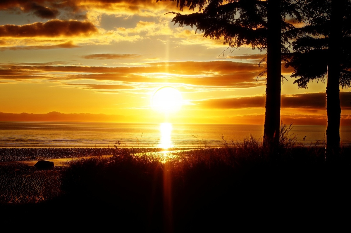 фото взято из открытого источника