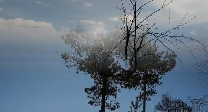 Фото автора.