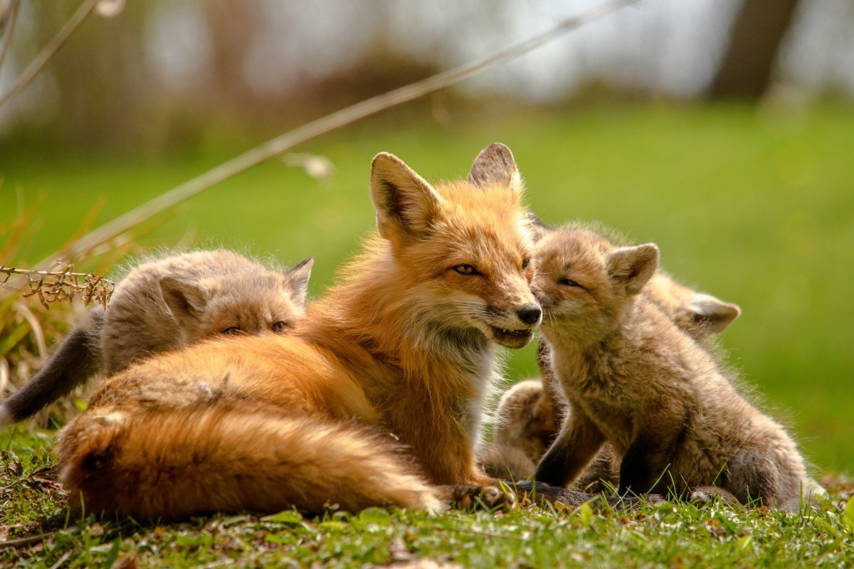    Изображение носит иллюстративный характер. Фото: Jeremy Hynes / Unsplash.com