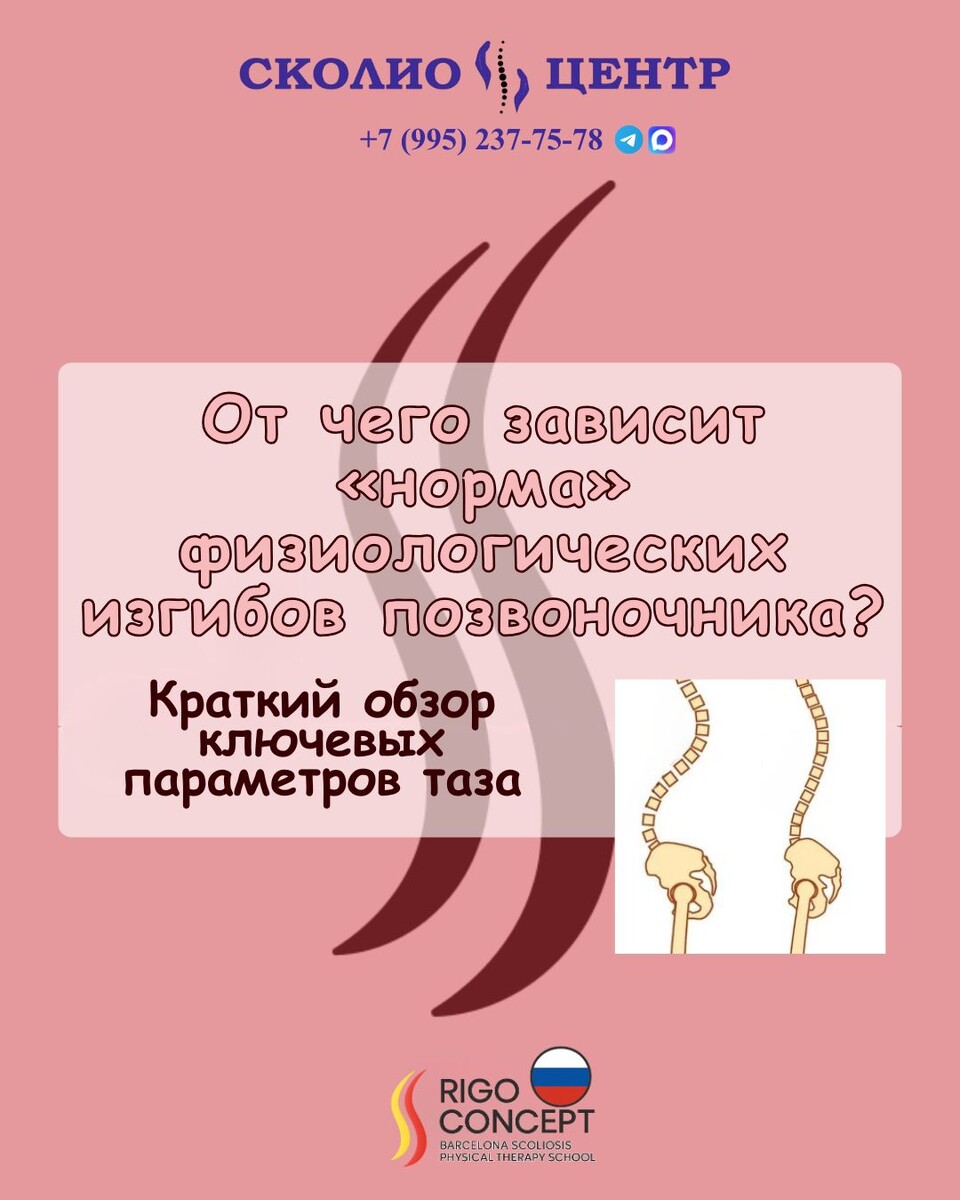 От чего зависит «норма» физиологических изгибов позвоночника