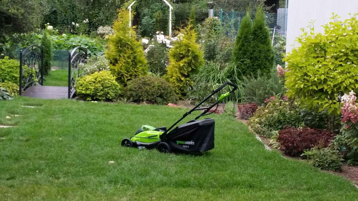 Источник изображения: https://tvoysad.ru/