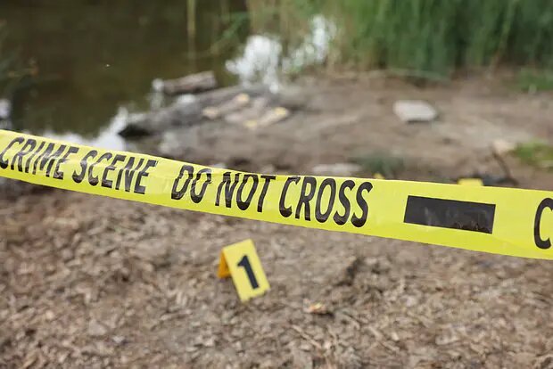    Источник: lenta.ru/ Игорь Никольский