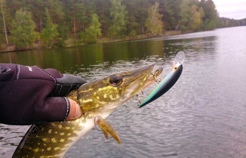 Воблер перестал стабильно играть: два способа настроить приманку без замены