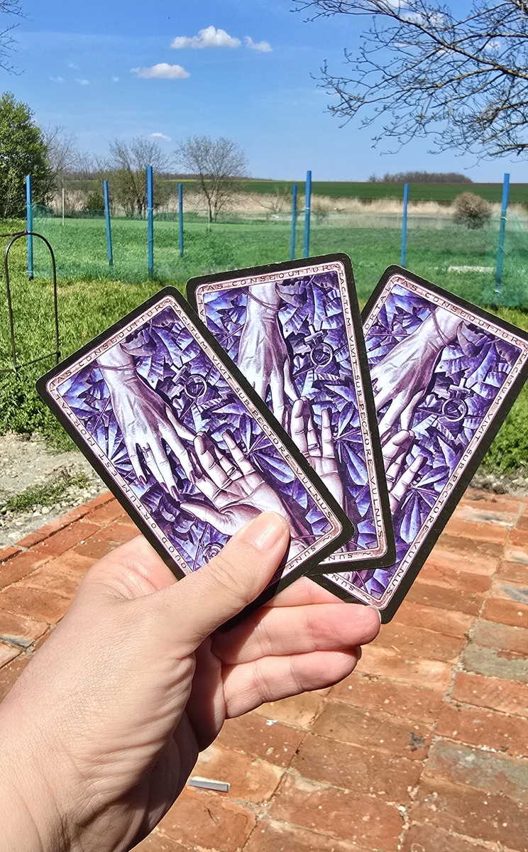 Фото расклада 