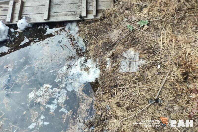    Фото, сделанное юннатами. Татищевский карьер, где обнаружили шланг со сточными водами