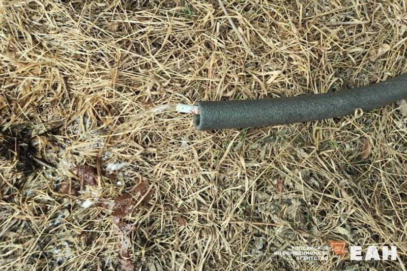    Фото юннатов. Шланг, из которого в Татищевский карьер поступали сточные воды