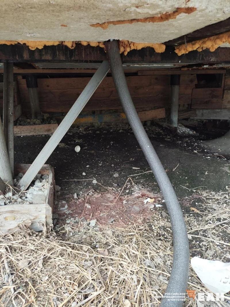    Фото юннатов. Шланг, из которого в Татищевский карьер поступали сточные воды