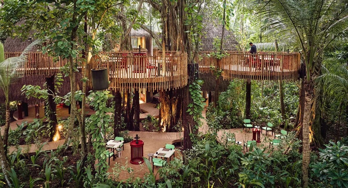    Ресторан на дереве Nest. Фото предоставлено Coral Travel