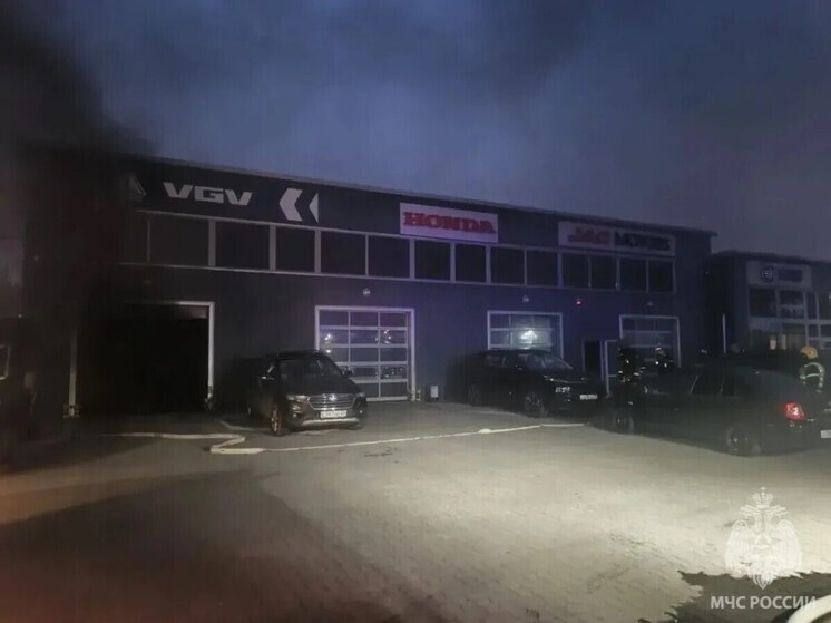     Фото: канал МЧС Калининградской области в MAX