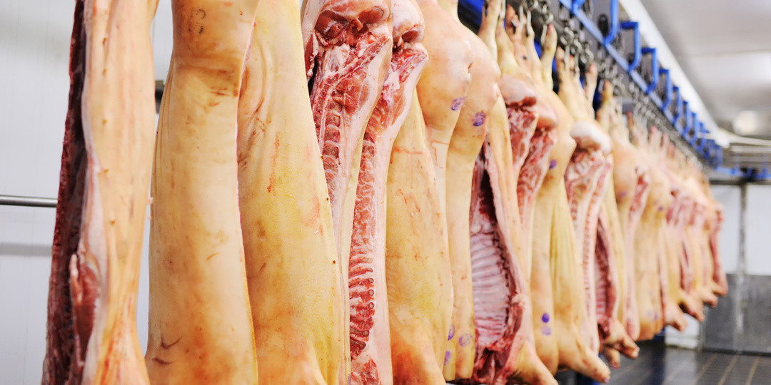 Россия увеличивает экспорт мяса на Филиппины: уже отгружено 6,1 тыс. тонн и готовятся новые поставщики