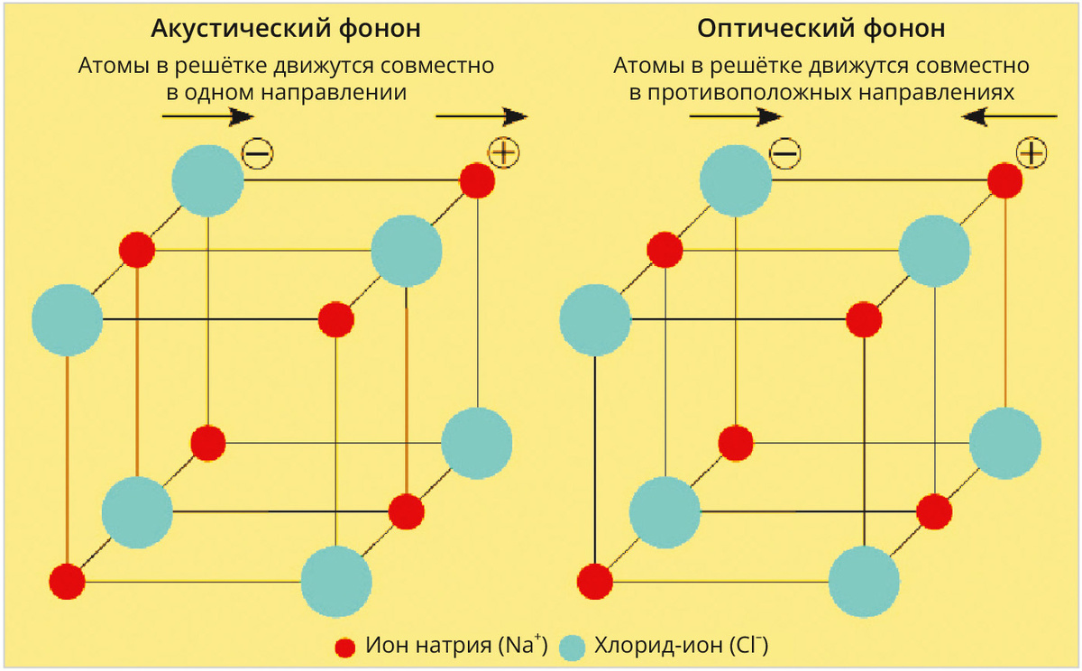 Рис. 1. Существует два типа фононов: оптические и акустические [5]