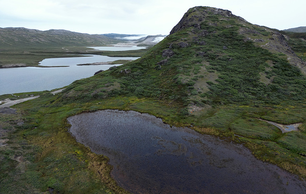 Sean Gallup/Getty Images