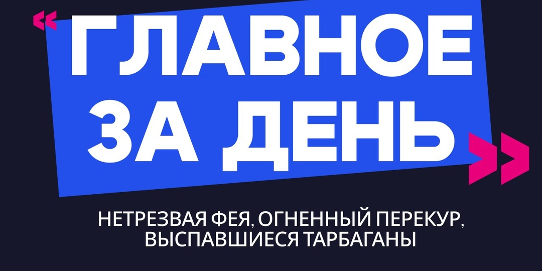 Главное за день: нетрезвая фея, огненный перекур и выспавшиеся тарбаганы