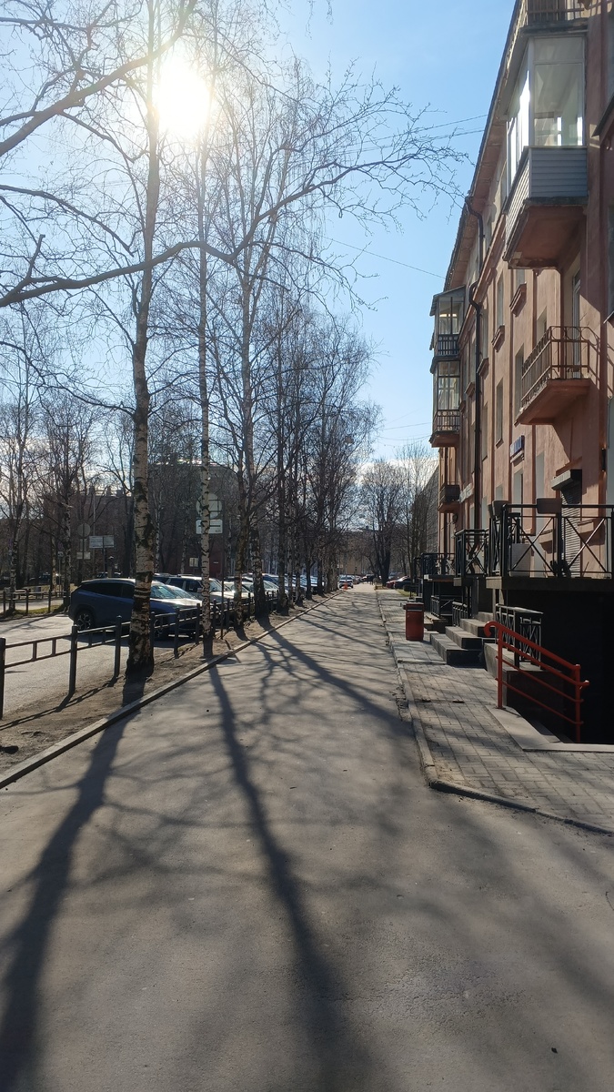 фото автора: Петрозаводск, центр города, улица Андропова