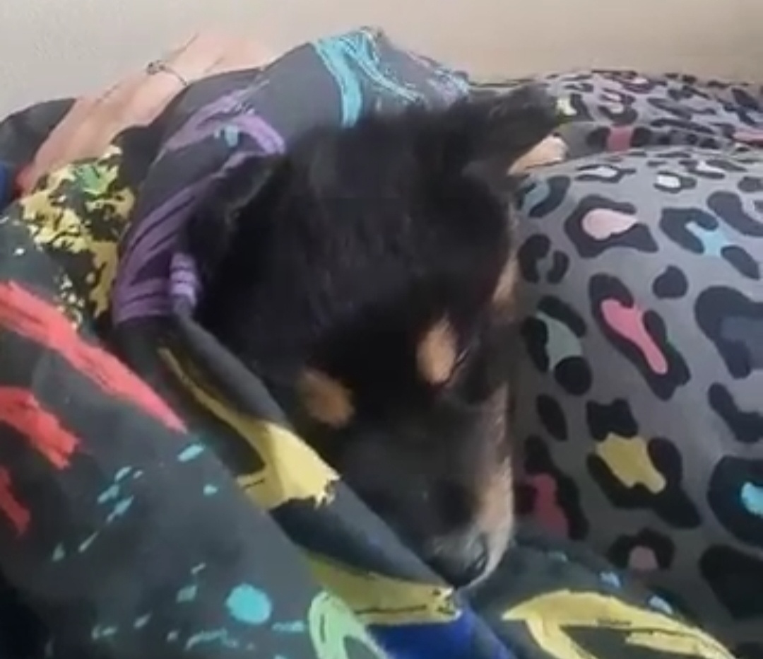 Первые дни дома 