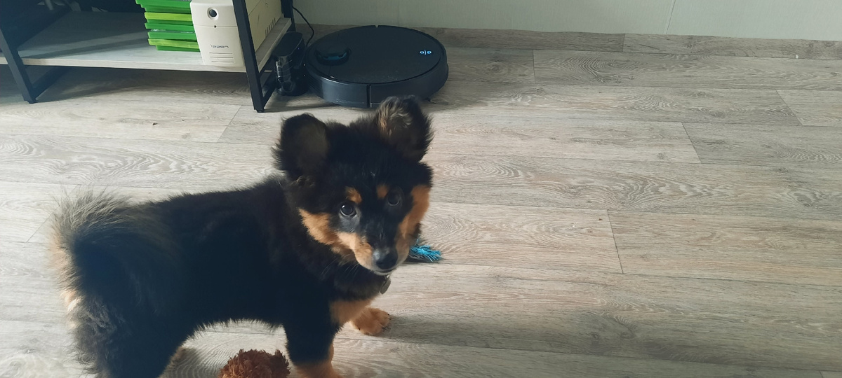 Всем привет!!!