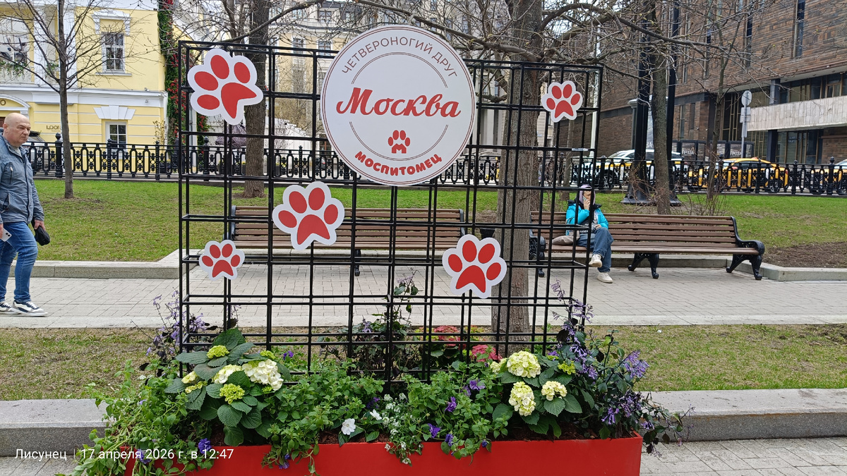 Фото автора