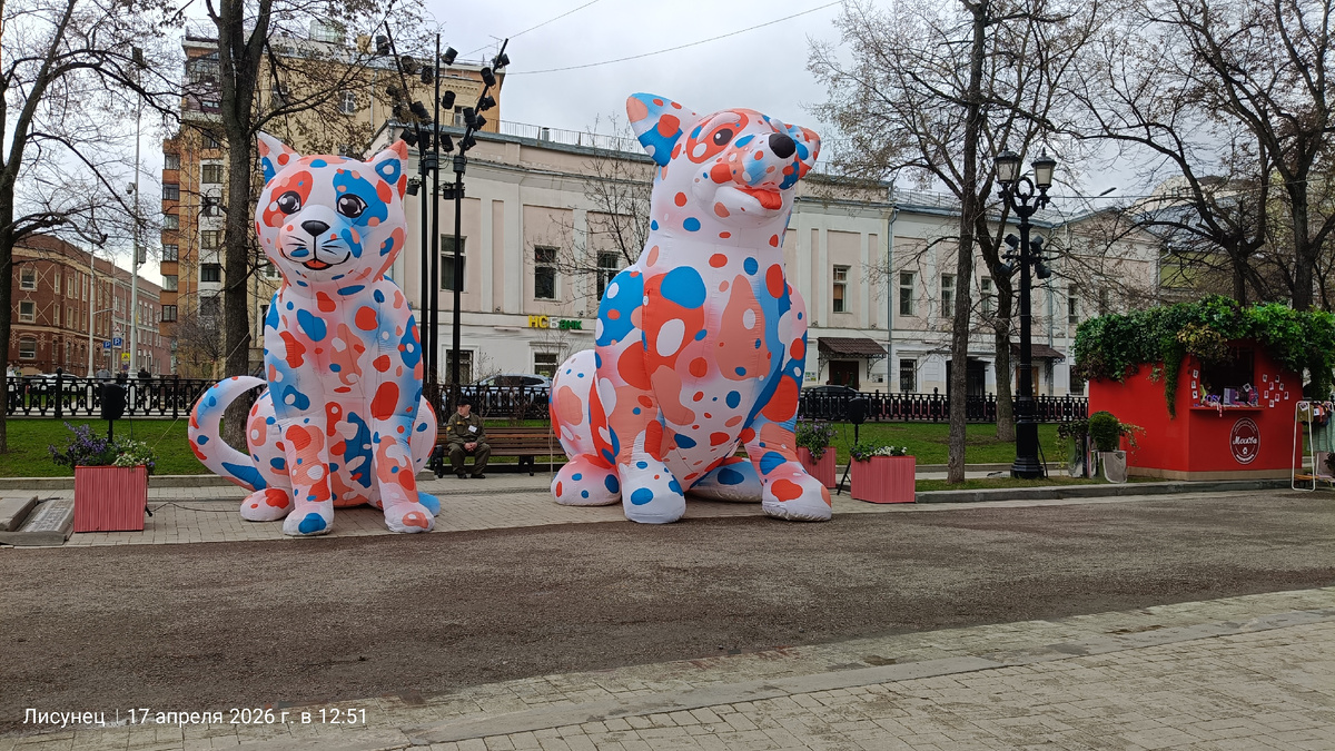 Фото автора 