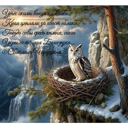 https://avatars.dzeninfra.ru/get-zen_doc/271828/pub_69e2078093cc65465c29c6e6_69e2082708a16e23f5cf398d/scale_2400