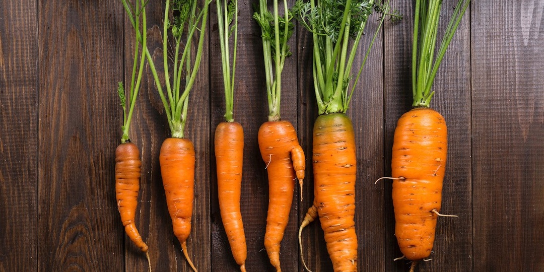 🥕🥕🥕 Морковь кажется простой в выращивании культурой, ведь она растет в каждом огороде