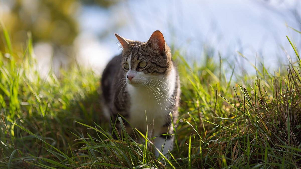    Фото: Shutterstock