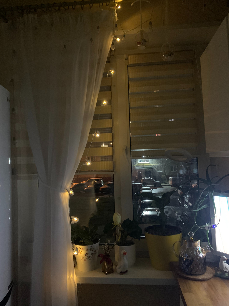 уютный вечер того же дня