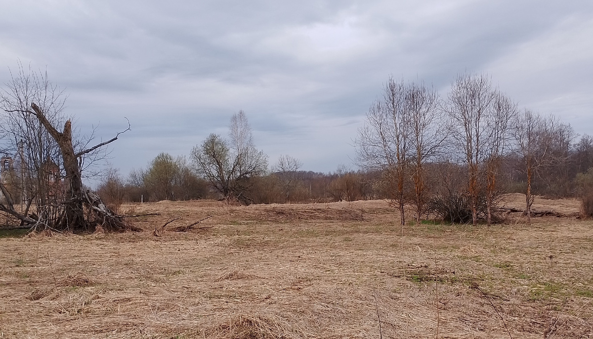 Личное фото.