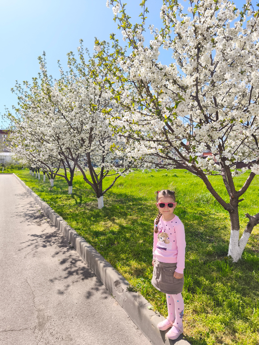 По пути на процедуру