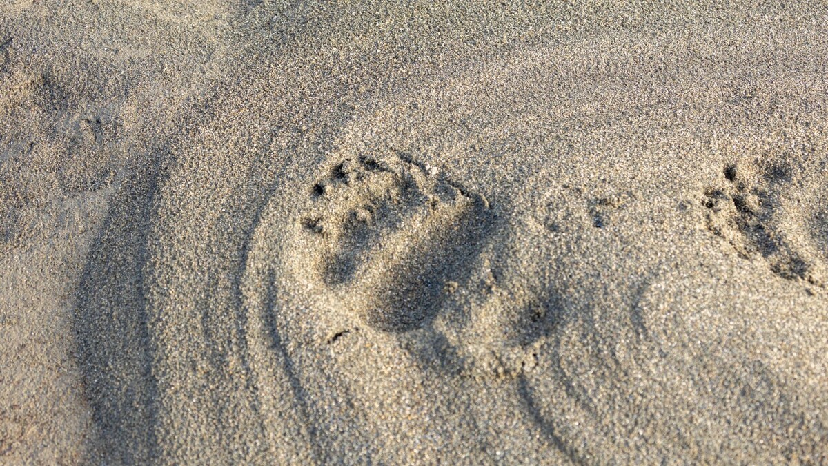    Фото: Федор Воронов/«Ямал-Медиа»