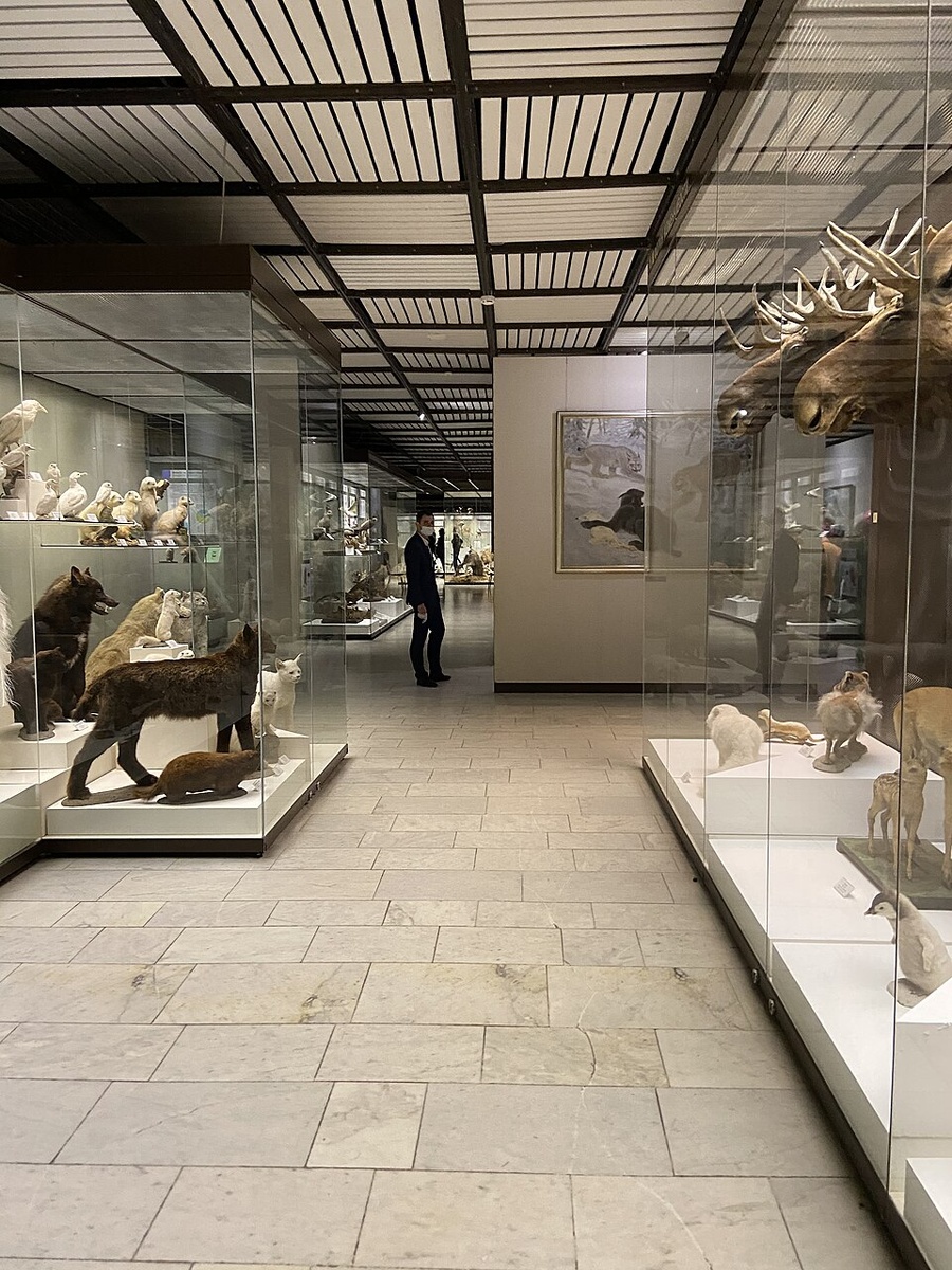 Фото: Natalia Senatorova, CC BY-SA 4.0, via Wikimedia Commons