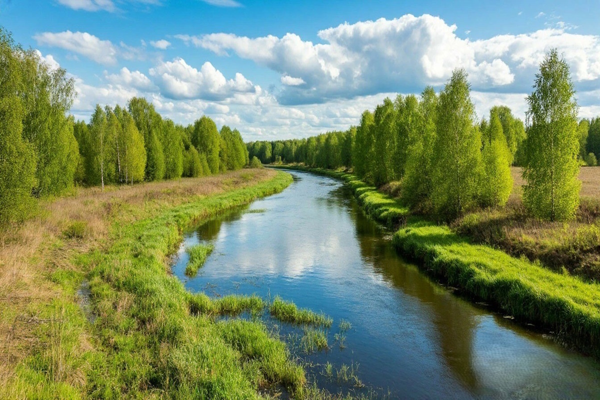    Фото: коллаж RuNews24.ru