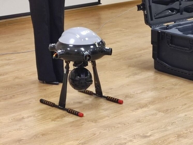     Их признали незаконно перемещёнными через границу, изъяли и поместили на хранение. Фото: архив "МК в Питере"