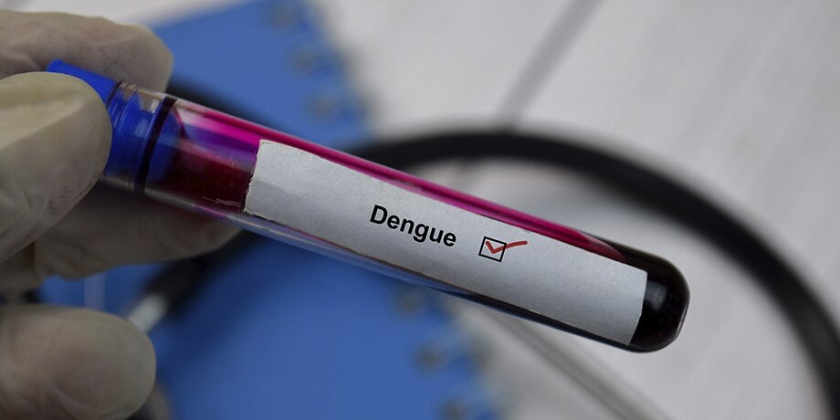    Фото: 123RF.com/bangoland