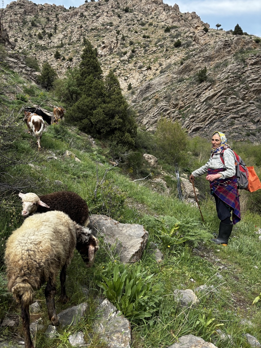 Бодрая 57-лтняя Мораса в Аламуте