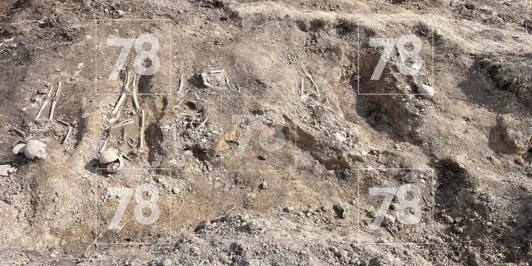 В Ленобласти нашли массовое захоронение мирных жителей, убитых фашистами в годы ВОВ