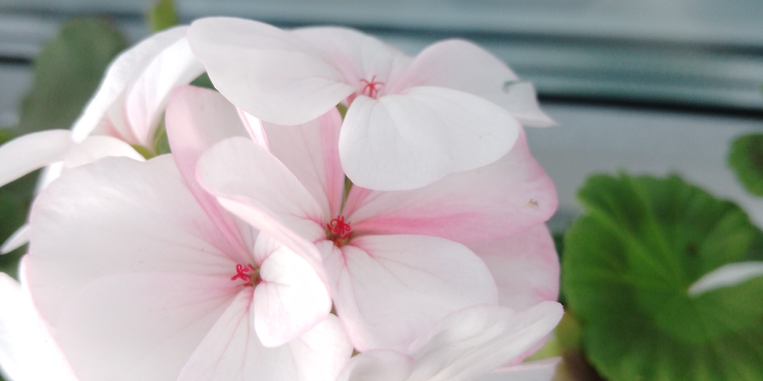 Привет из прошлого или дружба вопреки