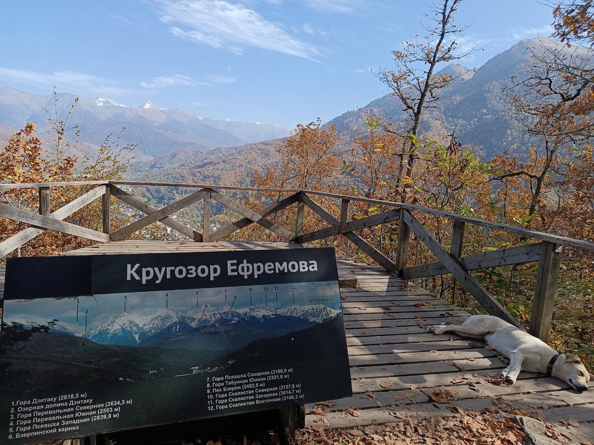 На Кругозоре Ефремова