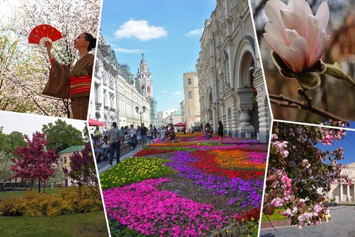    В апреле в столице уже можно увидеть первые яркие акценты.