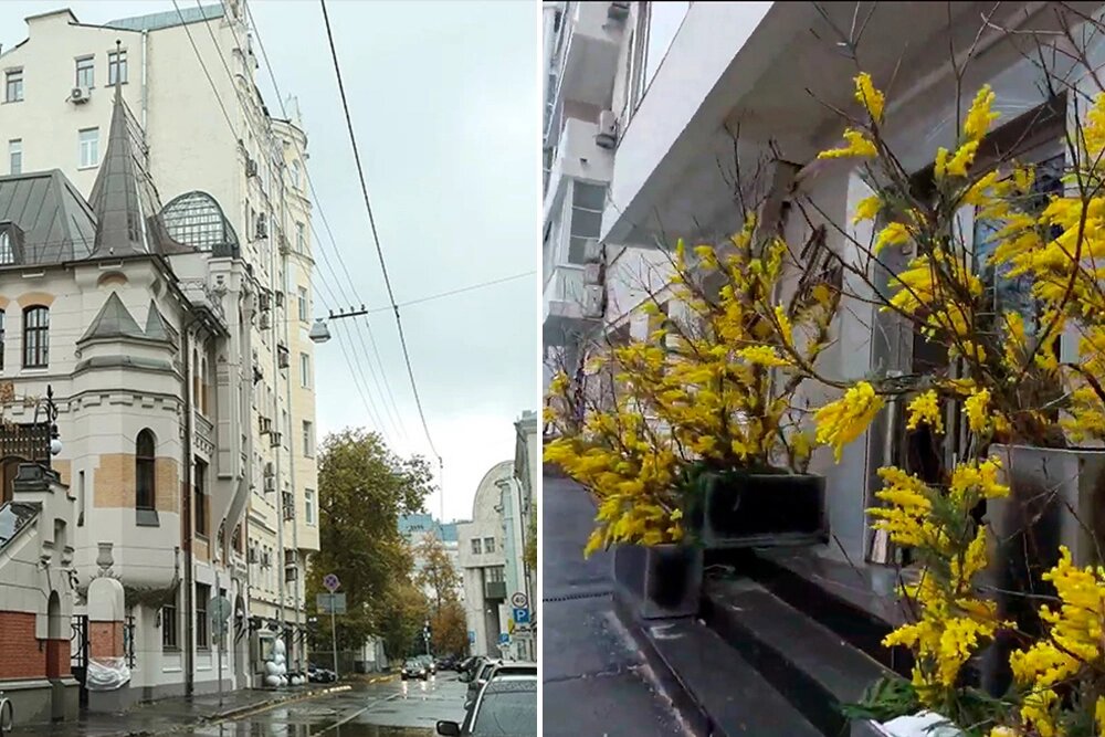    Патриаршие пруды, Трехпудный переулок. Фото: Коллаж АиФ