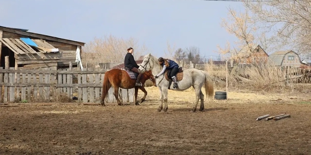 «Сармат» – приют надежды