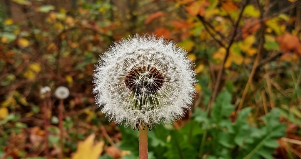 Нельзя стареть.. нельзя смириться