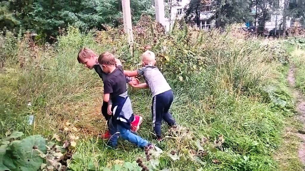 Фото с просторов всемирной паутины.