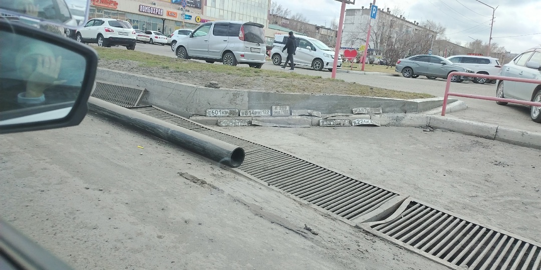 "Выставка" гос