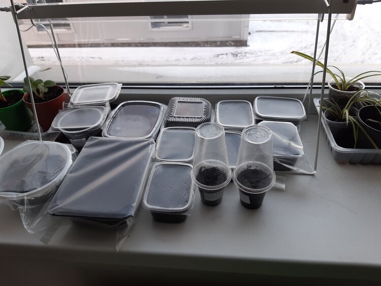    Фото: Лукьянов Дмитрий, AgroXXI.ru