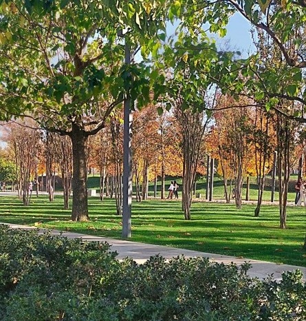    В Мурманской области создают первый промышленный парк