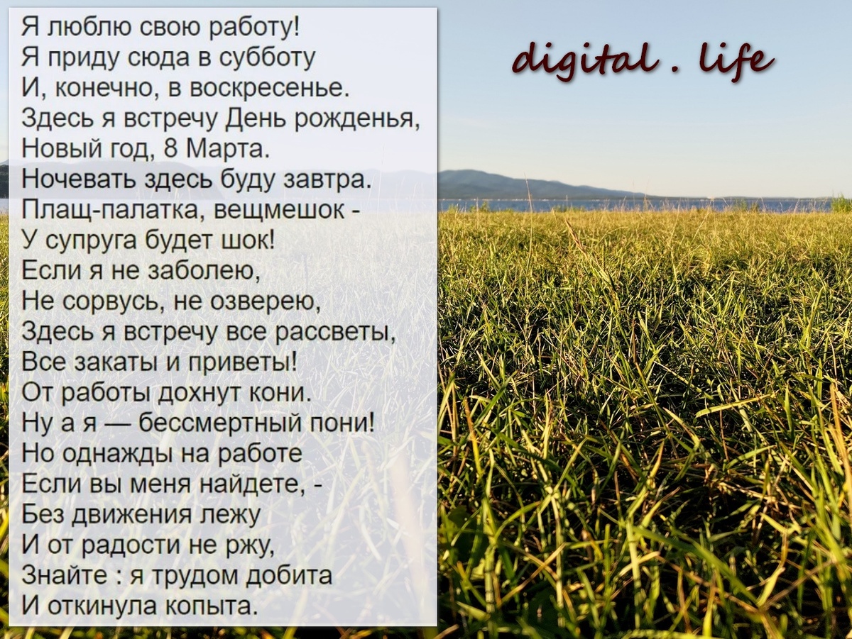 Фото афтора и стих из сети