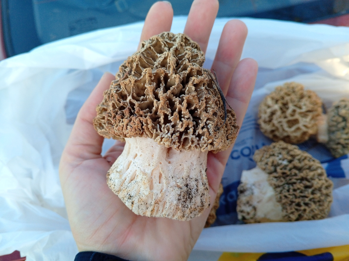 Фото авторов